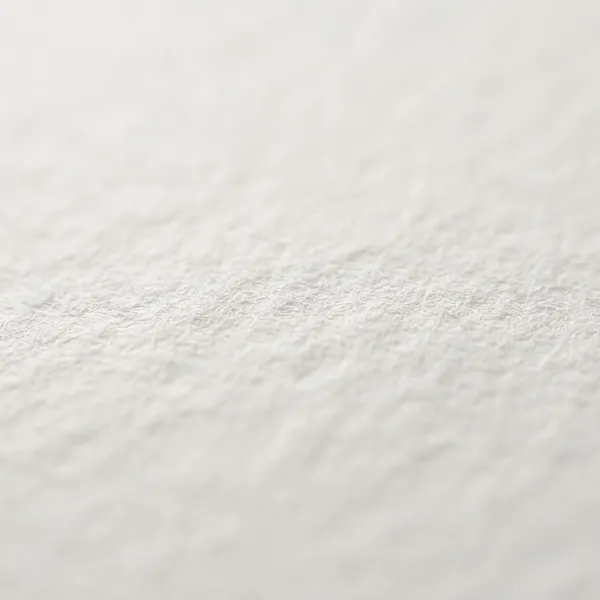 Vellum Extra Mate Az (70 x 100 cm) - 2