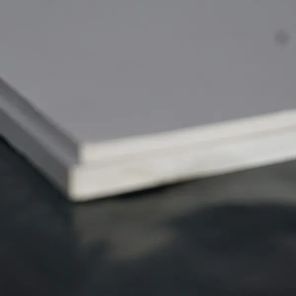 PVC-Celtex Blanco Plancha 10mm - 7